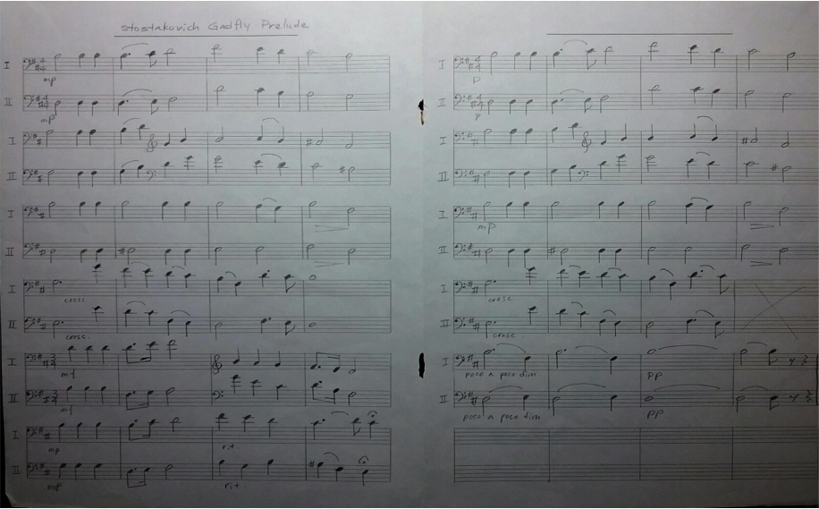 Figue 1. Transcribed Score
